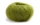 Premia 66 Kiwi