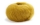 Premia 67 Mustard